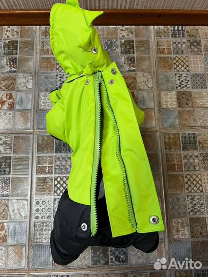 Зимний комбинезон Dino на кобеля