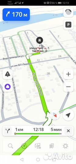 Рассада цветов