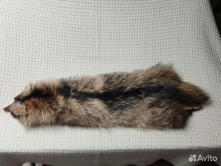 Шкурки красной лисы и шкурка енота