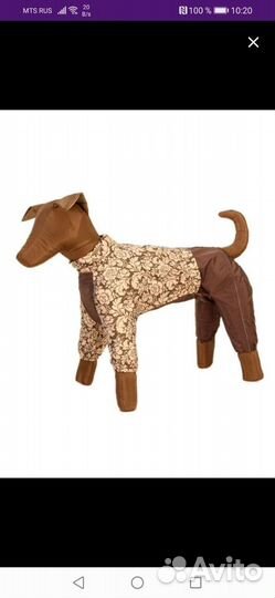 Одежда для собак