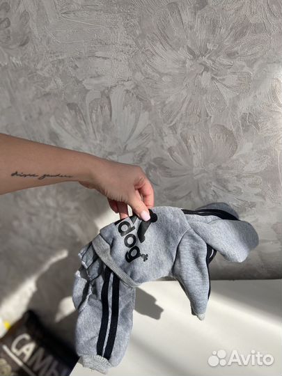 Одежда для собак мелких пород или щенков