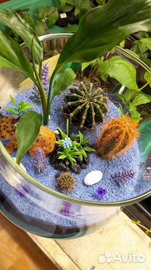 Флорариум стеклянный