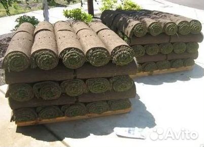 Укладка газона