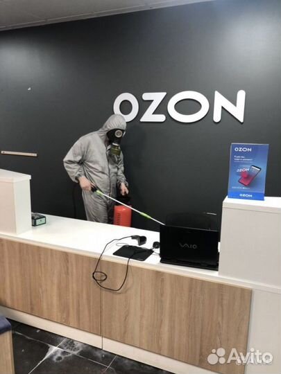 Уничтожение тараканов клопов. Травить насекомых