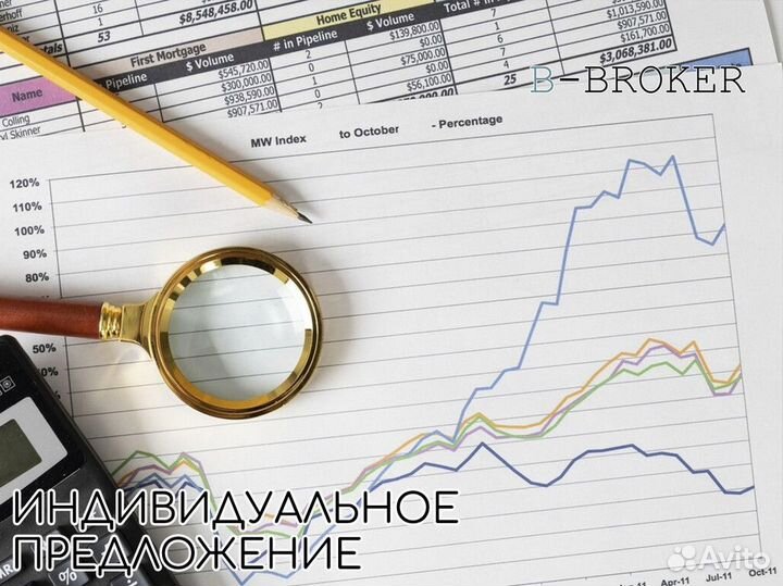 Экспертиза в бизнесе: B-Broker