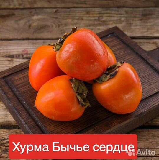 Саженцы Сортовой Хурмы