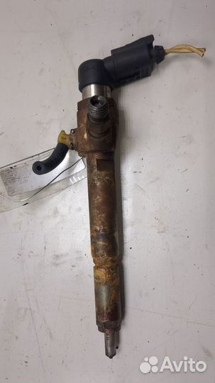 Форсунка топливная Renault Scenic, 2009