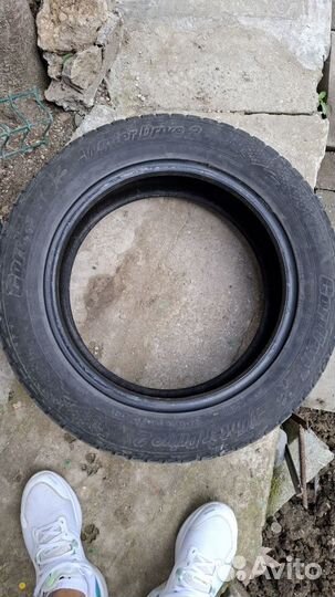 Cordiant Winter Drive 2 205/55 R16