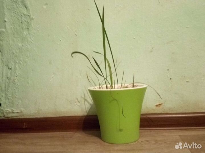 Кашпо разные