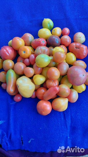 Овощи с огорода