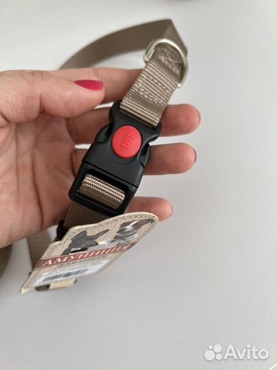 Поводок+ошейник