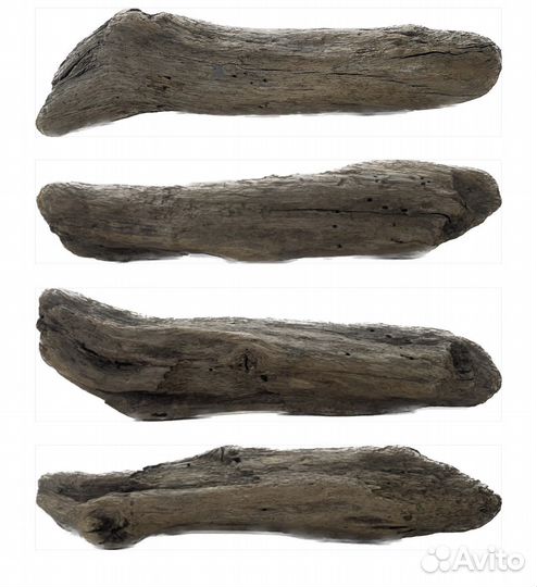 Дрифтвуд Морская коряга