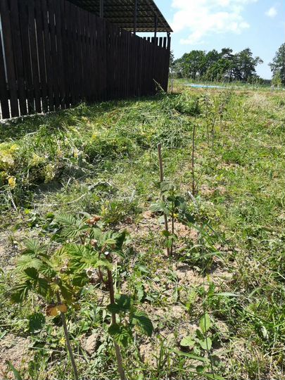 Дача 48 м² на участке 1,48 га