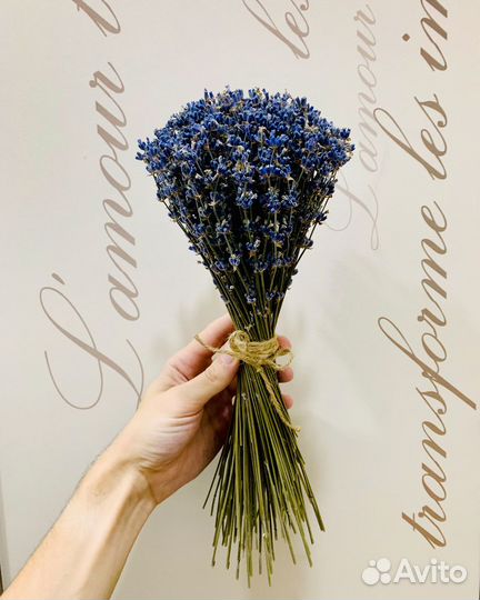 Букет Лаванды
