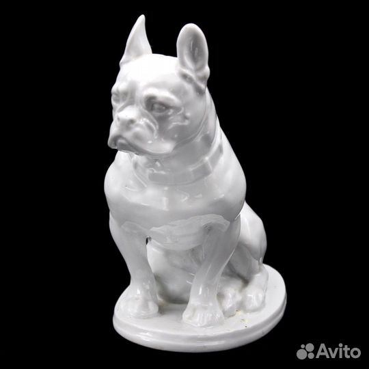 Бульдог фарфоровый СССР белый