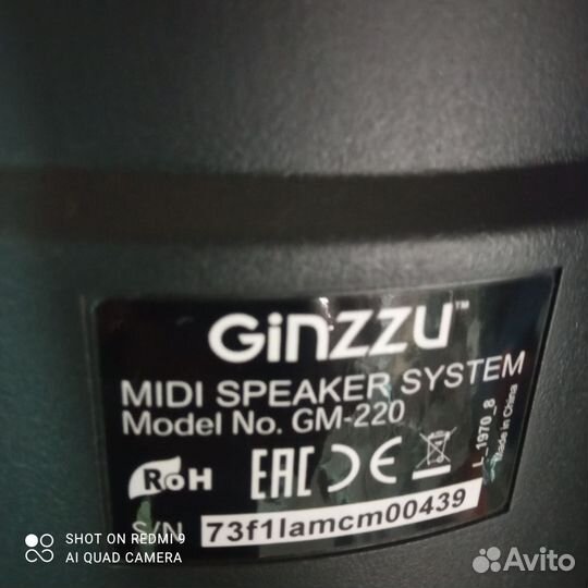 Портативная колонка Ginzzu GM-220