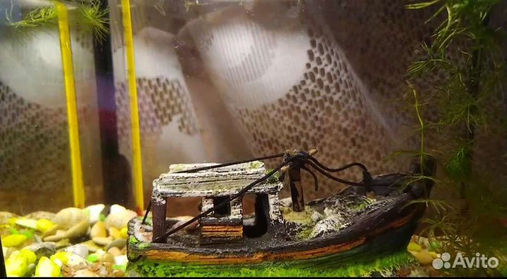 Аквариум с рыбками