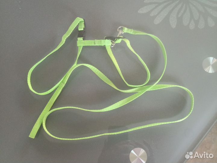 Шлейка для маленькой собаки