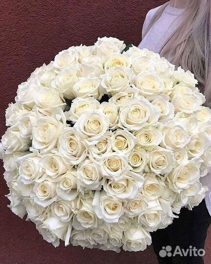 101 Роза Цветы Букеты 51 25 Роз Доставка