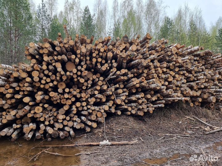 Береза дровяная с доставкой