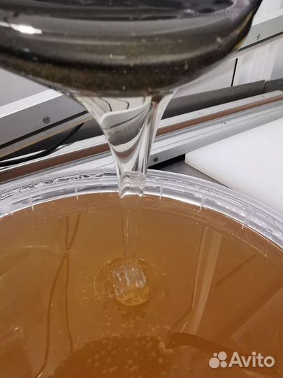 Мед липовый. Ленск. 2023