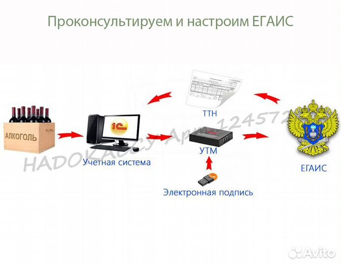 Егаис, Настройка, Обучение, Помощь арт. 124572