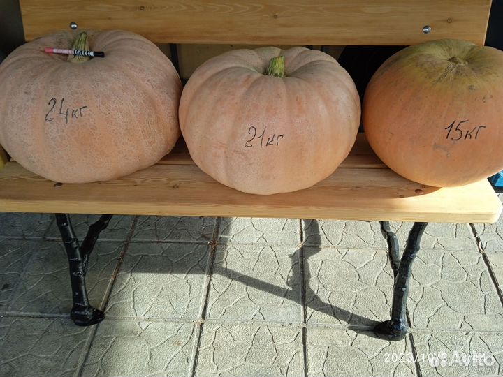 Продукты питания