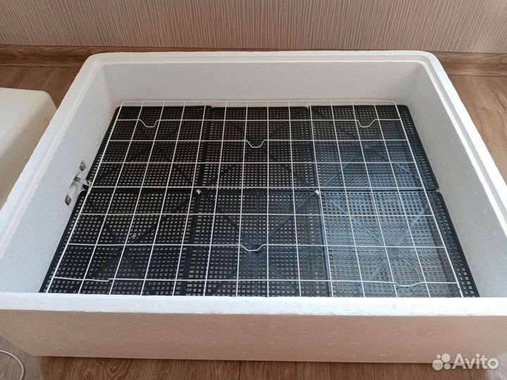 Инкубатор несушка