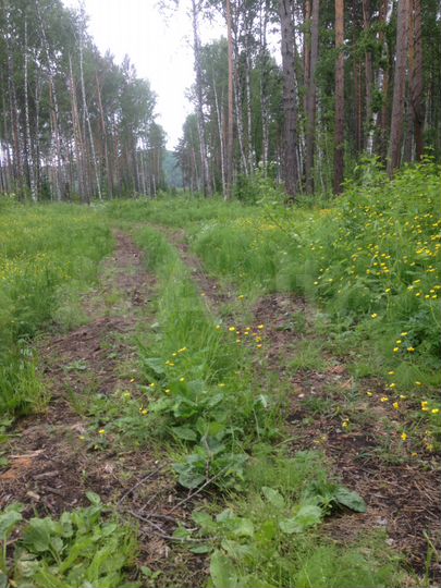 Участок 12 сот. (ИЖС)