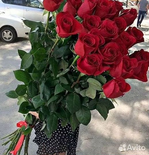Розы гиганты 140 150 160 170 180 200