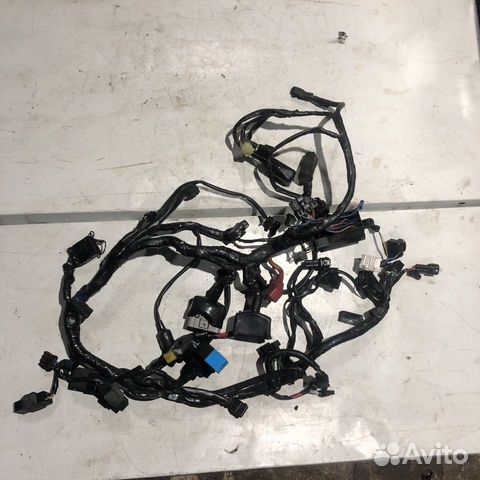 Коса проводки для triumph speedmaster 2008