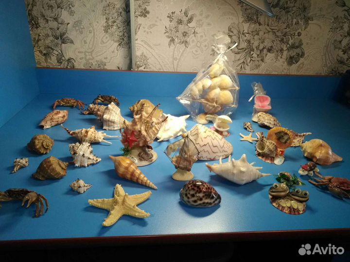 Ракушки для аквариума