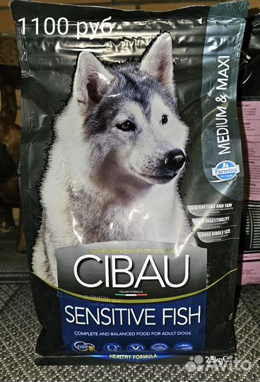 Сухой корм для собак