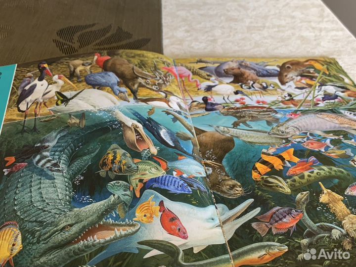 Книга планета животных