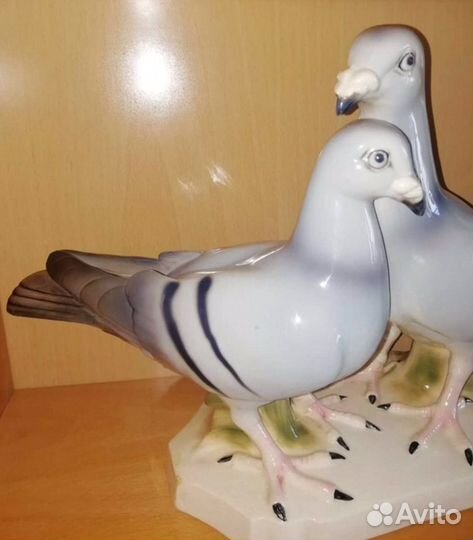 Пара немецких почтовых голубей ххl