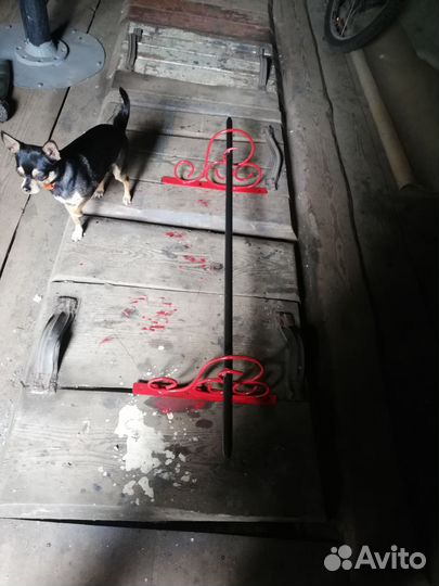 Чихуахуа кобель на вязку