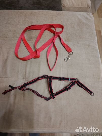 Поводок и шлейка для собаки