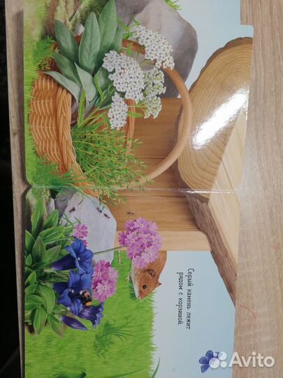 Вот ты где, шмель Книга