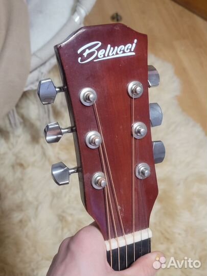 Гитара belucci