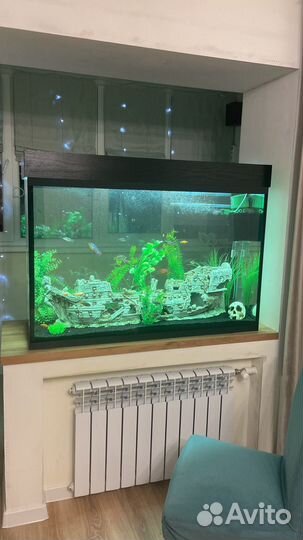 Аквариум