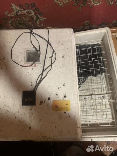 Инкубатор для яиц автоматический бу