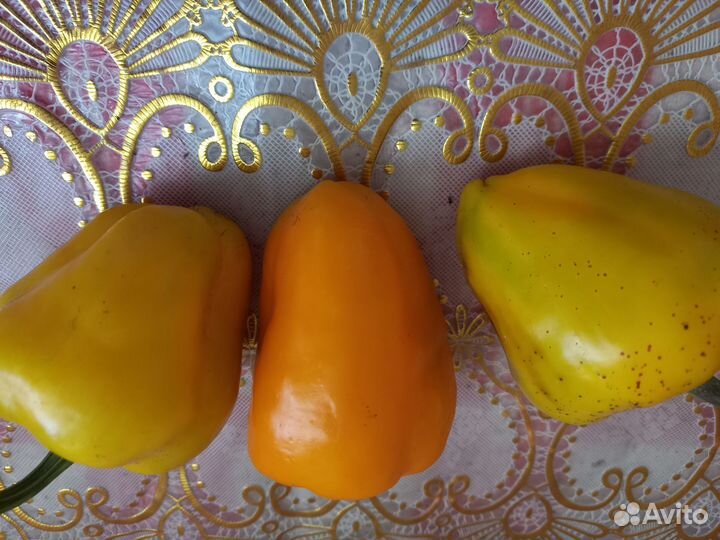 Перец Леся оранжевый