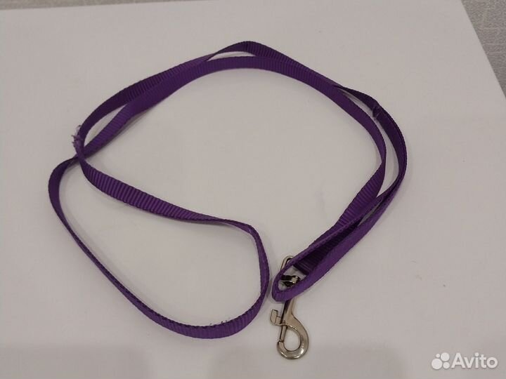 Амуниция для собак