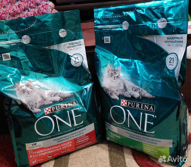 Сухой корм для кошек purina one 3кг