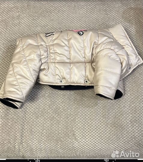 Комбинезон для собаки девочки Puppy Angel,ML