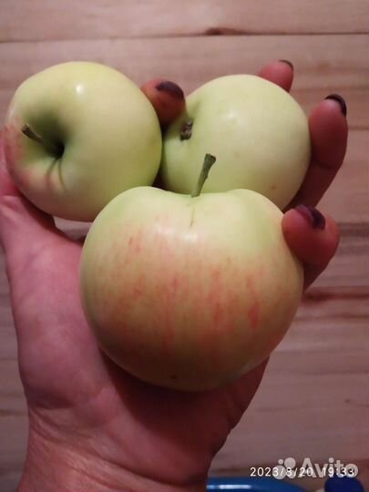 Ранетки на компот