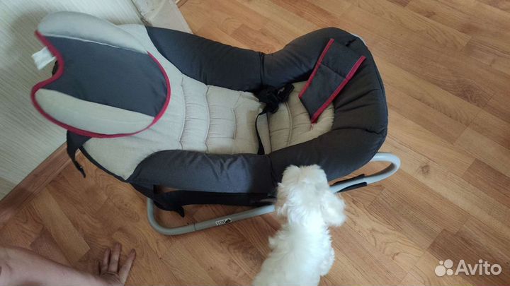 Шезлонг детский chicco