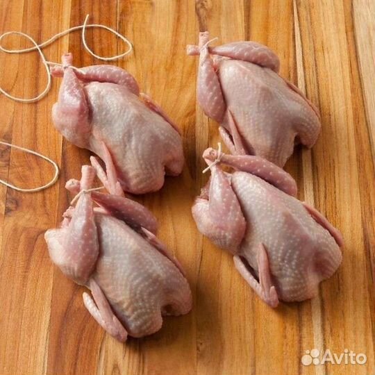 Перепела, мясо, яйца