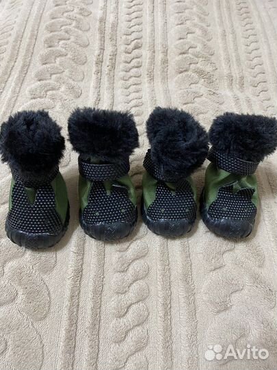 Обувь для собак мелких пород