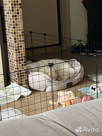 Вольер для щенков
